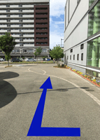 �݂ǂ��w�A���o�����E��